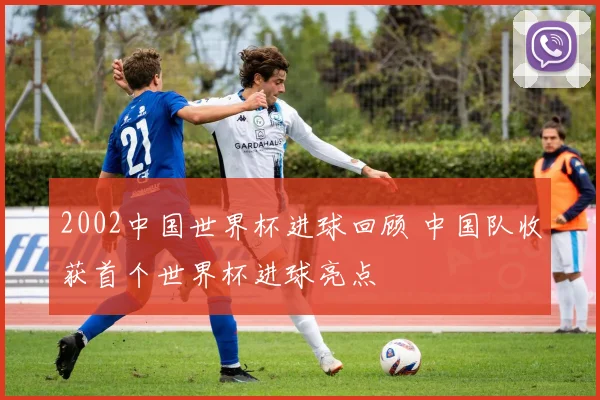 2002中国世界杯进球回顾 中国队收获首个世界杯进球亮点