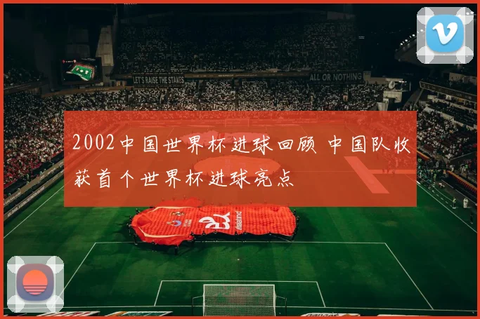 2002中国世界杯进球回顾 中国队收获首个世界杯进球亮点